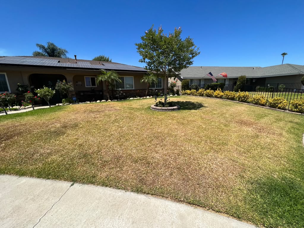 Rancho Cucamonga Energy-Efficient Front Yard before, photo 1